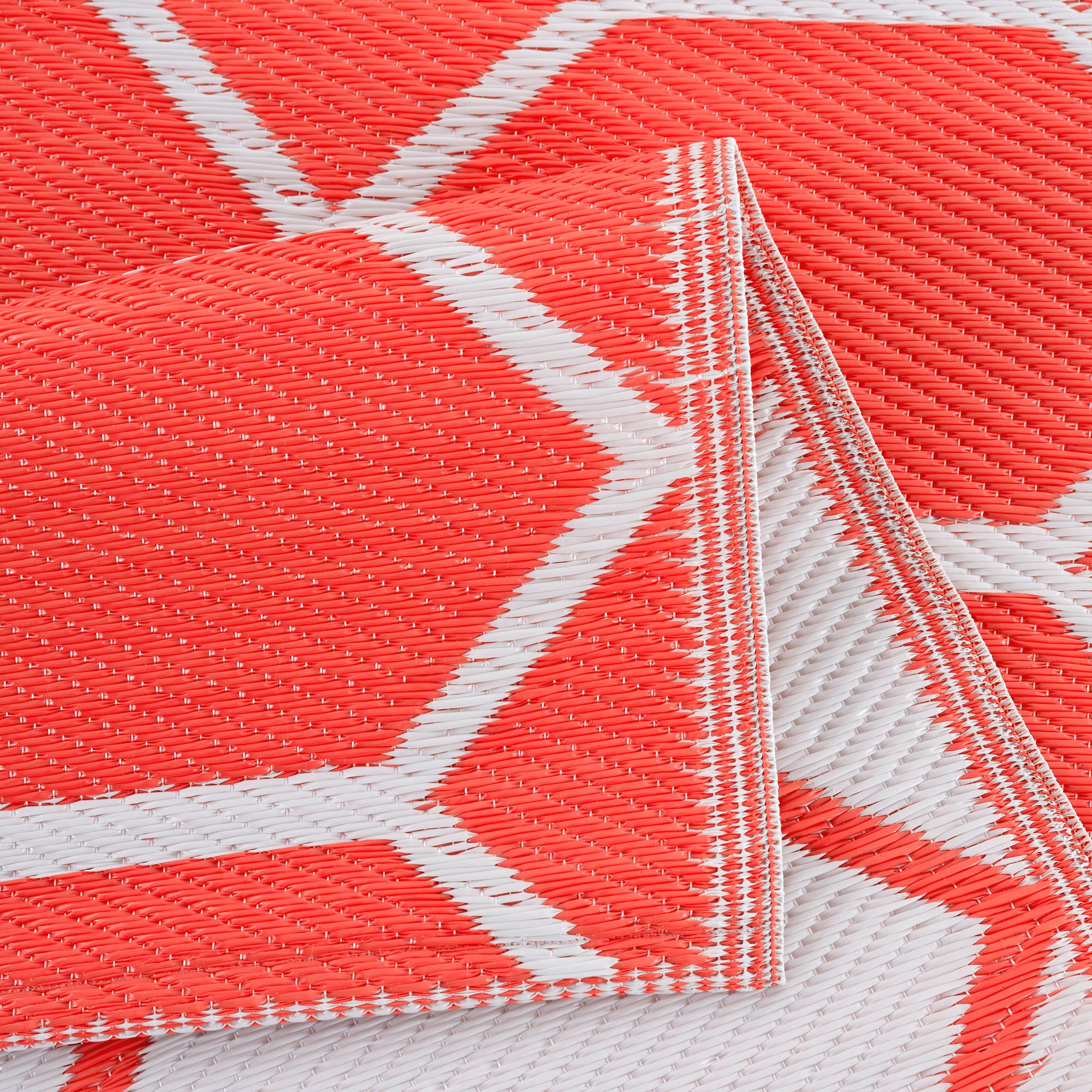 Miami Orange White